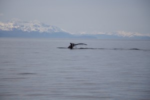 Juneau