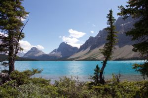 Bow Lake